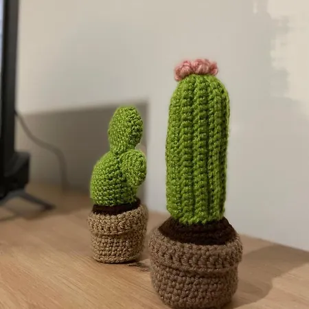 Daire Ajs Yeni Pazar