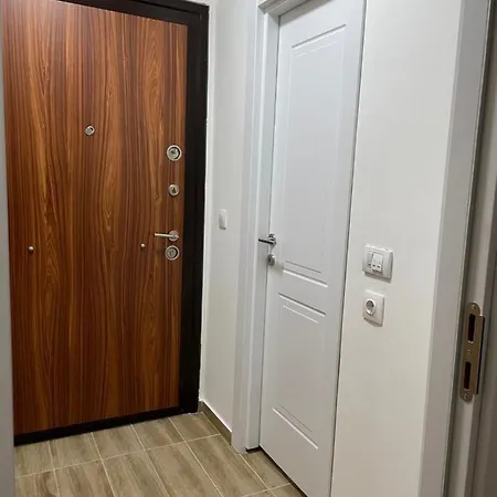 Ajs نوفي بازار